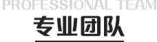 专业团队